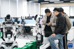 <b>肥乐聚机械人手艺无限公司</b>